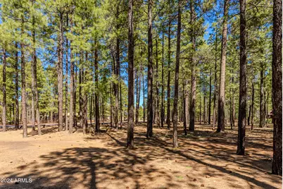 4583 Sky Hi Road #-, Pinetop, AZ 85935 - Photo 22