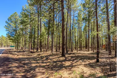 4583 Sky Hi Road #-, Pinetop, AZ 85935 - Photo 20