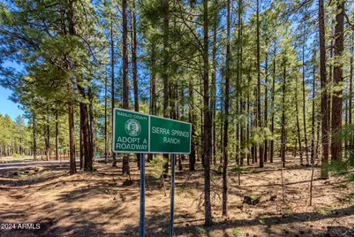 4583 Sky Hi Road #-, Pinetop, AZ 85935 - Photo 1
