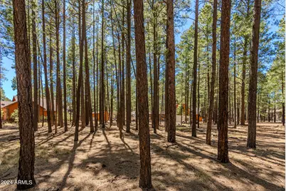 4583 Sky Hi Road #-, Pinetop, AZ 85935 - Photo 26
