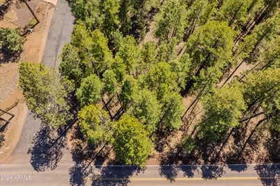 4583 Sky Hi Road #-, Pinetop, AZ 85935 - Photo 14