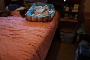 5803 Dark Canyon Dr, Winslow, AZ 86047 - Photo 16