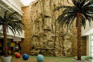 6694 W Ripken Ct, Florence, AZ 85132 - Photo 8