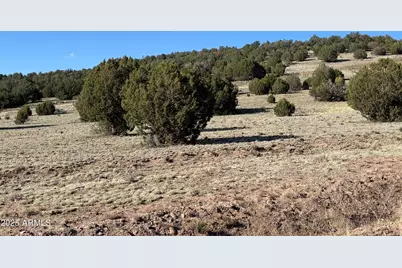 0 N Parcel #301-10-230-1557 --, Seligman, AZ 86337 - Photo 4