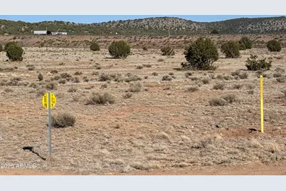 0 N Parcel #301-10-230-1557 --, Seligman, AZ 86337 - Photo 2