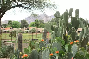 12222 N Paradise Vlg Pkwy S, Phoenix, AZ 85032 - Photo 18