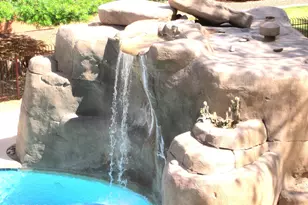 12222 N Paradise Vlg Pkwy S, Phoenix, AZ 85032 - Photo 2