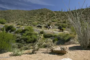 10651 E Fernwood Ln, Scottsdale, AZ 85262 - Photo 170