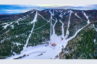 50 S Bench Circle, Show Low, AZ 85901 - Photo 42