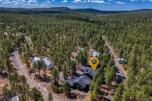 50 S Bench Cir, Show Low, AZ 85901 - Photo 2