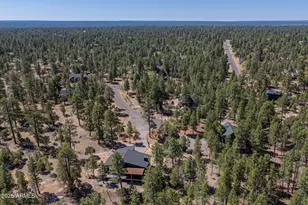 2965 Eagle Ridge Cir, Happy Jack, AZ 86024 - Photo 50