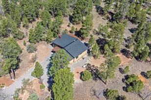 2965 Eagle Ridge Cir, Happy Jack, AZ 86024 - Photo 52