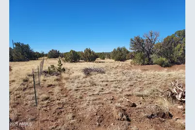 Tbd High Plains Road #C, Show Low, AZ 85901 - Photo 8