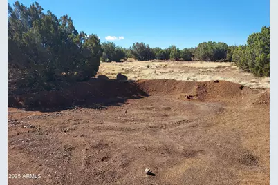 Tbd High Plains Road #C, Show Low, AZ 85901 - Photo 4