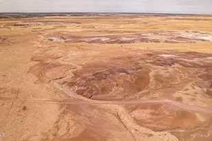 0 Near St John's, Saint Johns, AZ 85936 - Photo 1