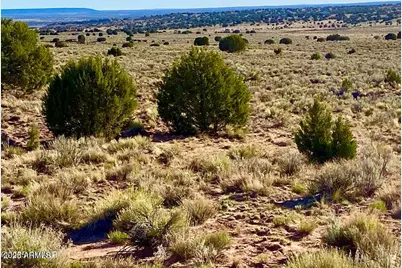 River Meadows Ranch Unit 3 Lot 204 -- #-, Concho, AZ 85924 - Photo 22