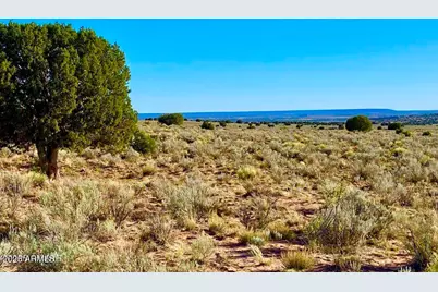 River Meadows Ranch Unit 3 Lot 204 -- #-, Concho, AZ 85924 - Photo 4