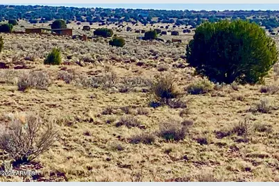 River Meadows Ranch Unit 3 Lot 204 -- #-, Concho, AZ 85924 - Photo 20
