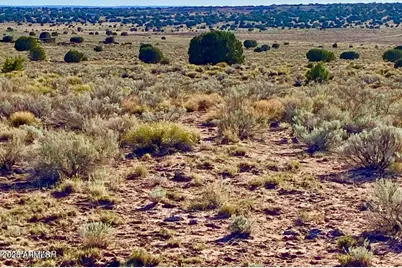 River Meadows Ranch Unit 3 Lot 204 -- #-, Concho, AZ 85924 - Photo 18