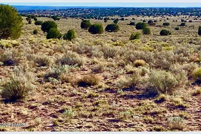 River Meadows Ranch Unit 3 Lot 204 -- #-, Concho, AZ 85924 - Photo 14