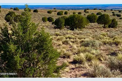 River Meadows Ranch Unit 3 Lot 204 -- #-, Concho, AZ 85924 - Photo 1