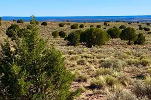 River Meadows Ranch Unit 3 Lot 204 --, Concho, AZ 85924 - Photo 1