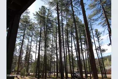 9016 W Fossil Creek Road, Pine, AZ 85544 - Photo 2