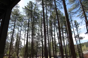 9016 W Fossil Creek Rd, Pine, AZ 85544 - Photo 2