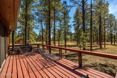 11 N County Road N1030 Street, Greer, AZ 85927 - Photo 22
