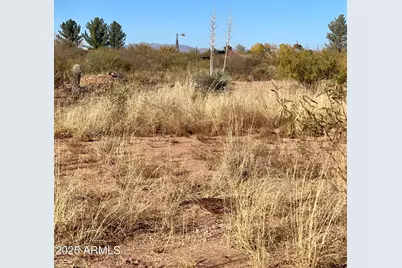 Tbd E 1st Street #1, Douglas, AZ 85607 - Photo 2