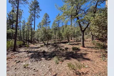 4165 W Forest Court, Pine, AZ 85544 - Photo 10