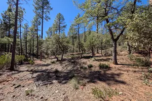 4165 W Forest Ct, Pine, AZ 85544 - Photo 10