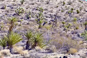 22 N Nancy Ln, Meadview, AZ 86444 - Photo 1