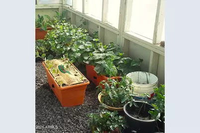 74 N7121  Red Sky Ranch --, Saint Johns, AZ 85936 - Photo 8