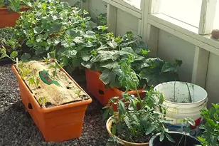 74 N7121 Red Sky Ranch --, Saint Johns, AZ 85936 - Photo 8