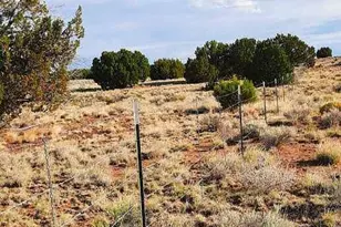 74 N7121 Red Sky Ranch --, Saint Johns, AZ 85936 - Photo 54