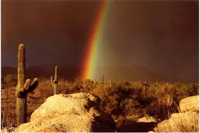 14800 E Wildcat Drive #North 10, Scottsdale, AZ 85262 - Photo 22