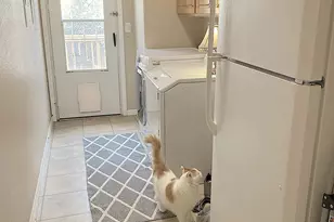 181 Timber Ridge Loop, Show Low, AZ 85901 - Photo 40