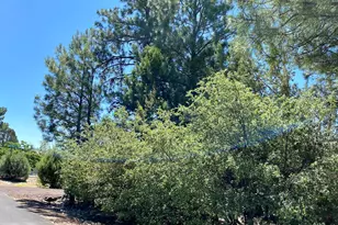 181 Timber Ridge Loop, Show Low, AZ 85901 - Photo 52