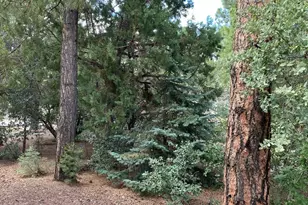 181 Timber Ridge Loop, Show Low, AZ 85901 - Photo 54