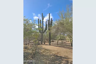 5141 E Rancho Tierra Drive, Cave Creek, AZ 85331 - Photo 58