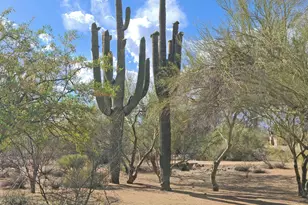 5141 E Rancho Tierra Dr, Cave Creek, AZ 85331 - Photo 58