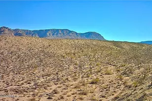 126 Antelope Ave, Meadview, AZ 86444 - Photo 1