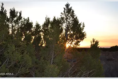 Lot 020B E 24th N Street #020B, Snowflake, AZ 85937 - Photo 10