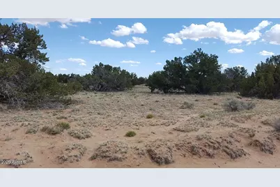 205 County Rd N7291 -- #-, Saint Johns, AZ 85936 - Photo 4