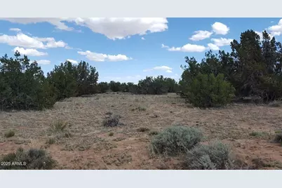 205 County Rd N7291 -- #-, Saint Johns, AZ 85936 - Photo 6