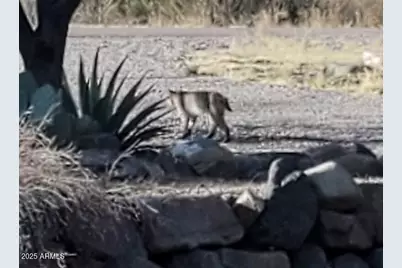 5693 S Calle Metate Boulevard, Sierra Vista, AZ 85650 - Photo 10