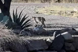 5693 S Calle Metate Blvd, Sierra Vista, AZ 85650 - Photo 10