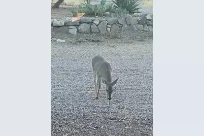 5693 S Calle Metate Boulevard, Sierra Vista, AZ 85650 - Photo 14