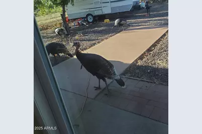 5693 S Calle Metate Boulevard, Sierra Vista, AZ 85650 - Photo 12